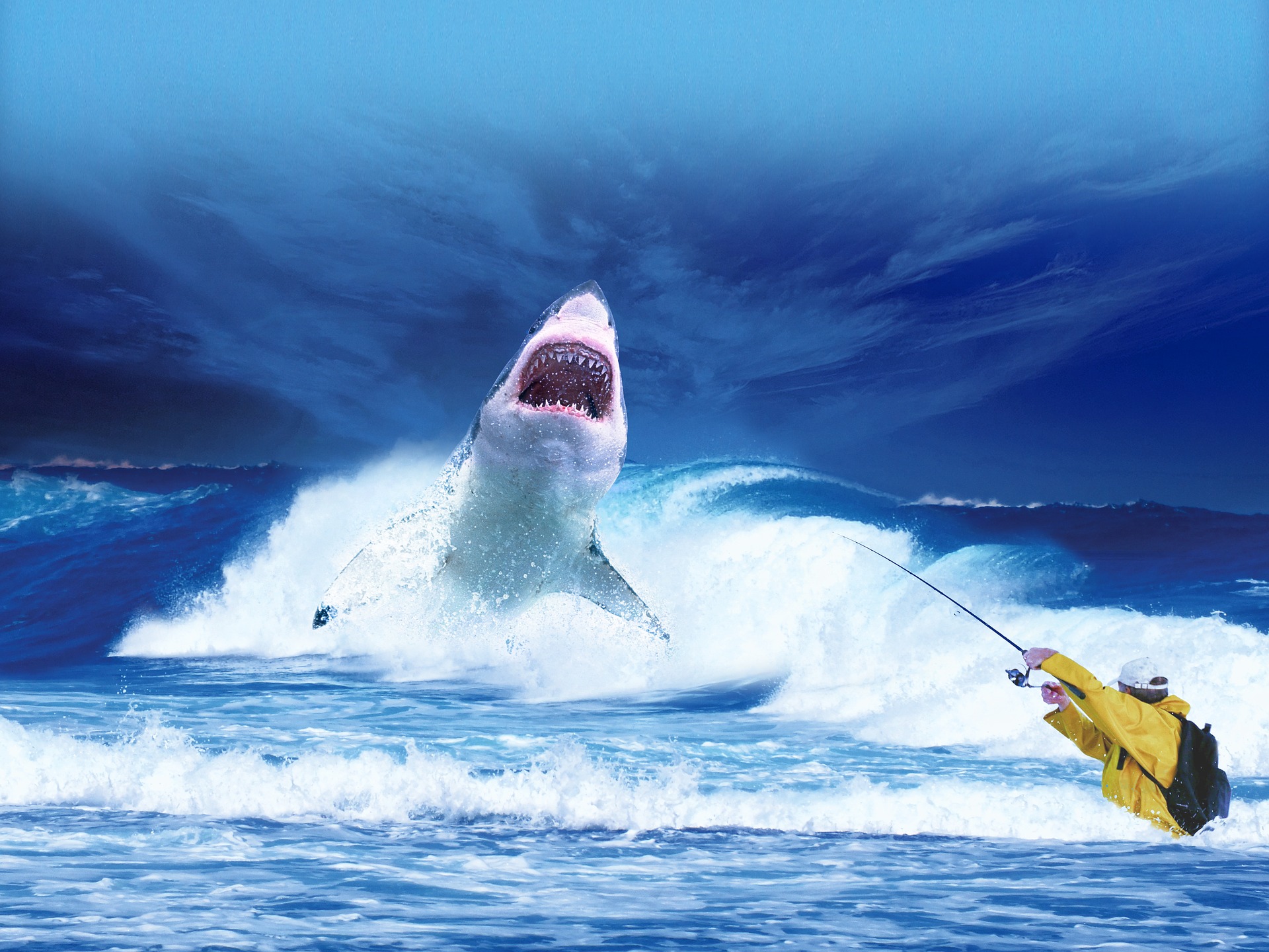 Red Ocean versus Blue Ocean: why differentiation is essential for a successful business model