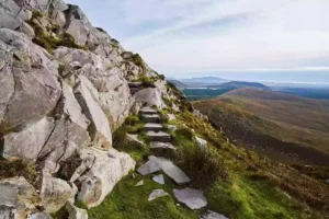 The best web design and development for your Galway business website