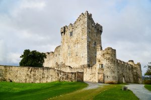 The best web design and development for your Killarney business website